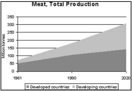 Meat Total Production