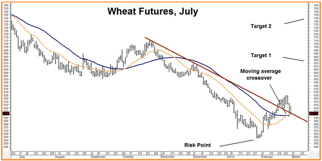 Wheat Futures, July