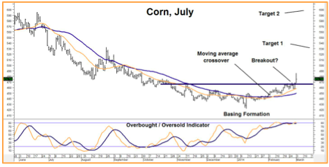 Corn, July