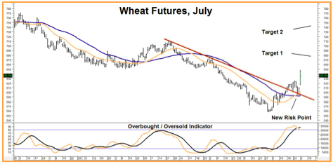 Wheat Futures, July