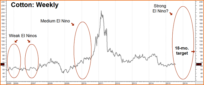 el nino cotton