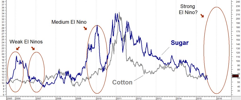 cotton sugar el nino