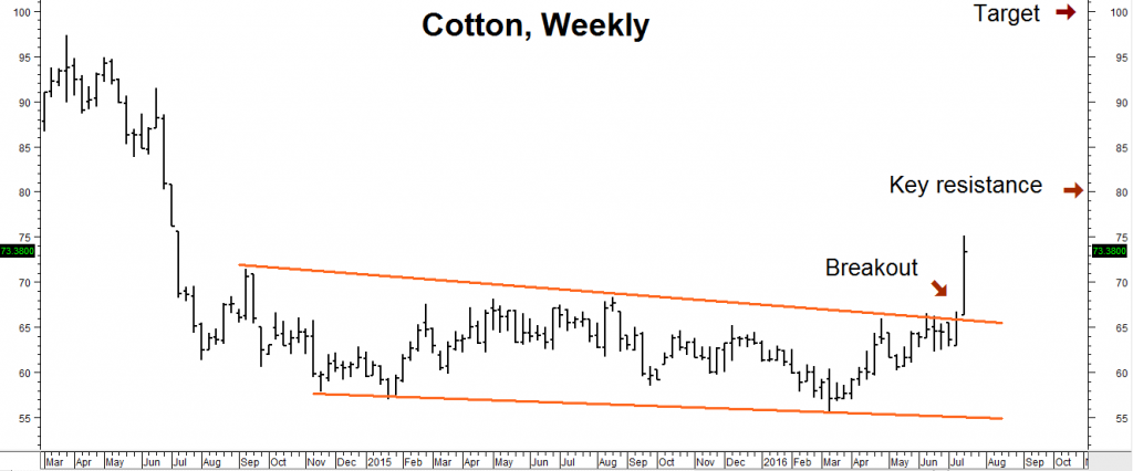 cotton weekly