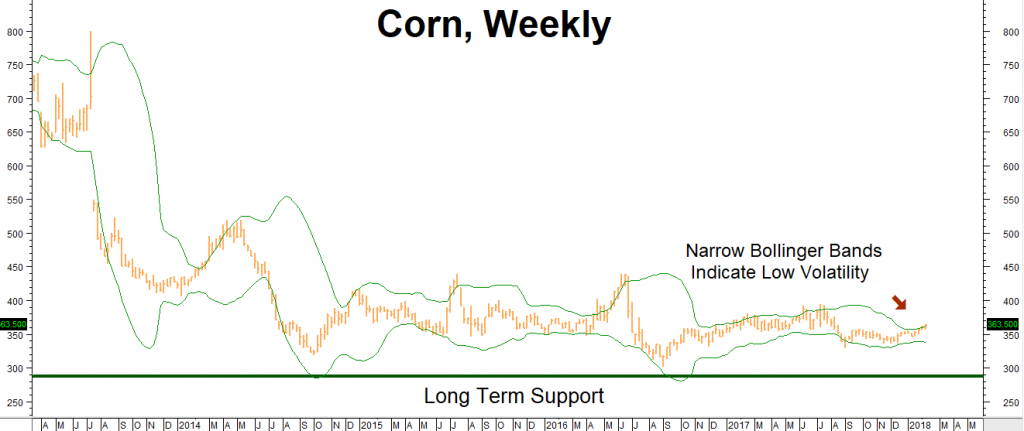 CornWeekly